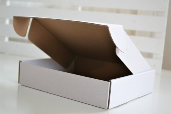 Boite 17x11x4 Carton Blanc